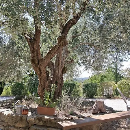 Pilgrim Guest house 3*