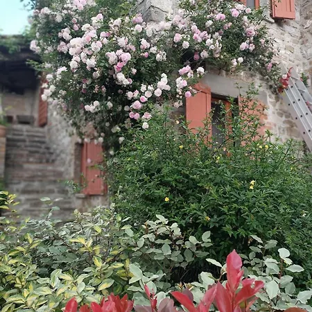 Pilgrim Gubbio