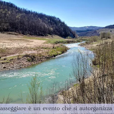 Pilgrim Guest house 3*