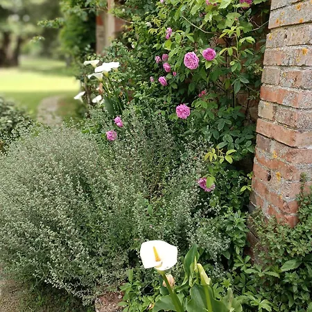 Casa de hóspedes Pilgrim