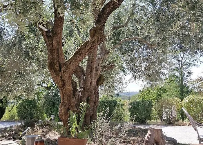 Pilgrim Guest house 3*